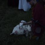 Septem423